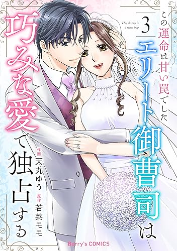 この運命は甘い罠でした~エリート御曹司は巧みな愛で独占する~3巻 (Berry's COMICS)