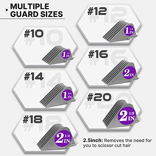 6Pcs Professional Hair Clipper Guards Cutting Guides Fits For Most Wahl Clippers Clipper, Combs Replacement - 1 & 1/4" To 2 & 1/2", Guard Number: #20, 18, 16, 14, 12, 10 (Gray) #TOP4
