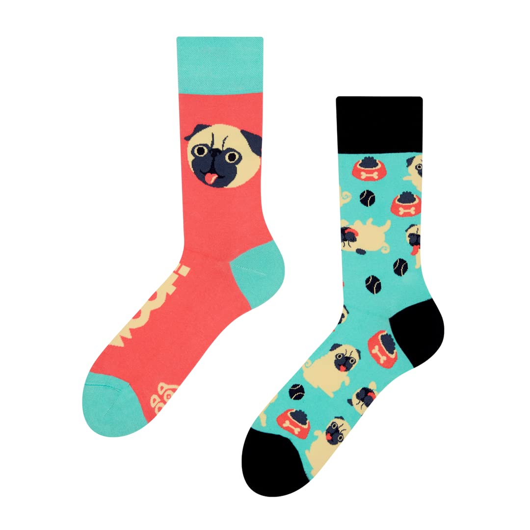 Dedoles Calzini Unisex Donna Uomo & Bambini Calze Cotone con tanti Design divertenti Calcio Bicicletta Piante Cavalli Regalo sinistra destra diversi