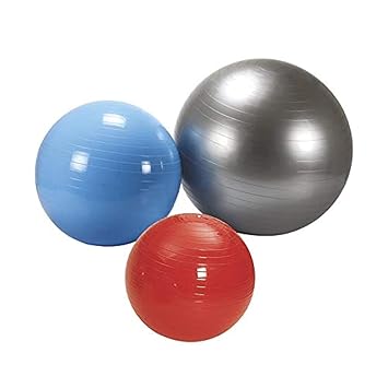 Vector X Gym Ball for Exercise Anti Burst Exercise Ball Workout Yoga Ball for Men Women (65cm)