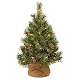 National Tree 3 Foot Pine Cone Tree with 35 Warm White Battery Operated LED Lights with Timer in Burlap (PC3-3BP-B-1)