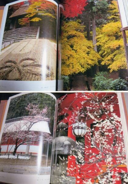 花京洛 浅野喜市 Amazon.co.jp: 浅野喜市 写真集「花京洛」 : おもちゃ