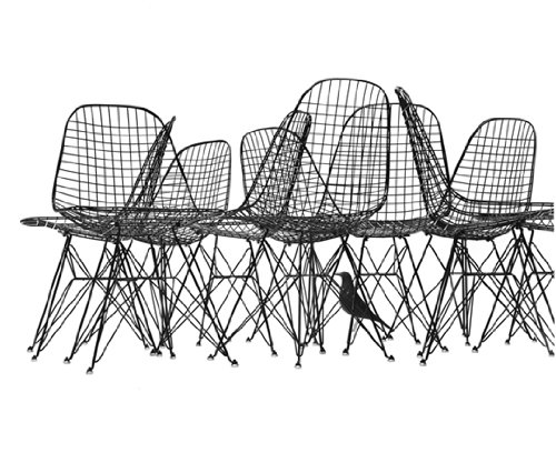 Eames Wire Chair & Bird Print