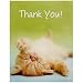 BirthdayExpress Rachael Hale Glamour Cats Party Supplies - Thank-You Notes (8)