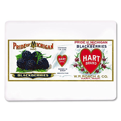 Lantern Press Pride of Michigan Baraja de 52 Cartas Póker miniatura 2