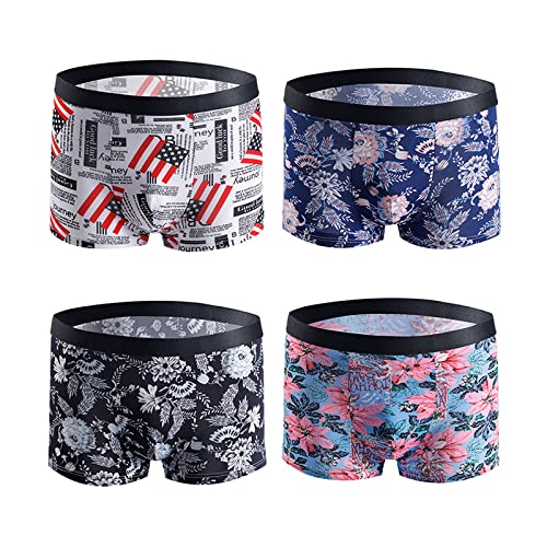 asjar Boys Silk Boxers (Pack of 4) (AS-1248_Multi-Color_L)-picture-10