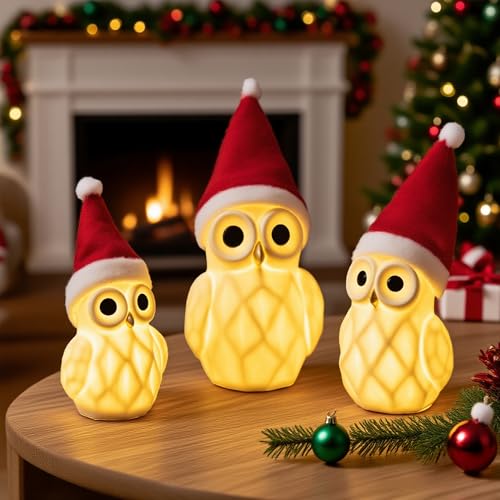 NEROSUN Christmas Lighted Owl Figurines, 3 Pack Ceramic White Light
