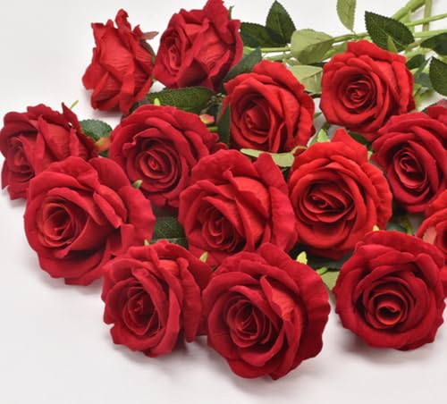 DIFEIUKI  o 12{Zbg [Yԑ KN ԑ ͂Ȃ tlf CeA A[gt[ ̓  o^C a j v[g 