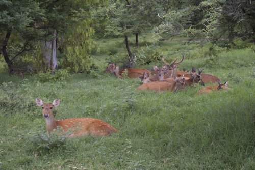 Lost in Paradise: Mauritius [Real 3D Blu-ray + 2D
