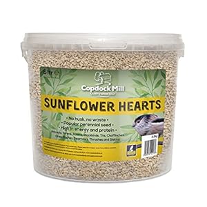 Copdock Mill Sunflower Hearts Wild Bird Seeds 5L Tub – No Grow Sunflower Hearts for Wild Birds – Bird Food Suitable for…