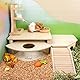 Niteangel Hamster-Spielplattform aus Holz für syrische Zwerghamster, Rennmäuse, Mäuse, Degus oder andere kleine Haustiere (L x B x H): 30 x 21 x 15 cm, Burlywood