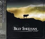 ホーリー・カウ!