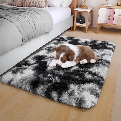 KING DARE Small Throw Rug 2x3 for Bedroom, Soft Non Slip Bedside Rug for Living Room Dorm, Shaggy Plush Carpet Modern Home Decor Aesthetic for Entrance Nursery Kids Room, Black and White
