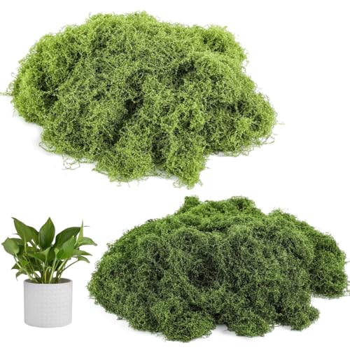 CPJJ Musgo estabilizado, musgo falso para decorações, musgo falso para decorações, para modelismo, parede, terrário, casa, 100 g, verde