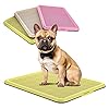 BANU Puppy Pee Pad Holder Indoor/Outdoor Dog Potty Training Toilet Tray 20″ x 16″ for Small and Medium Dogs Hygienic pet Toilet Pet Supplies (Yellow)
