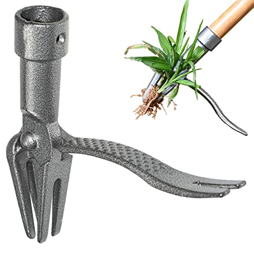 Top 10 Tools To Remove Weeds of 2022 Katynel