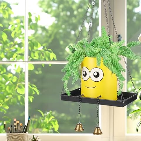 behen bahen Hanging Planters for Indoor Plants Plus Size Swing Face Planter Pot Garden Outdoor Plant Succulent Pots with Drainage Hole Plant Potting Unique for Mom Sisters(Smile) Cover