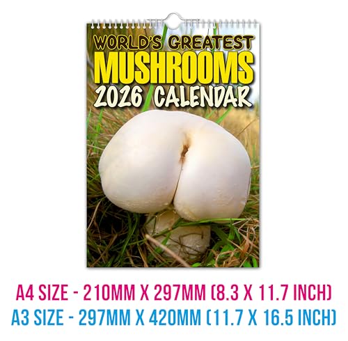The Calendar King // World's Greatest Mushrooms - 2026 Wall Calendar - Funny/Quirky/Christmas/Birthday/Gift Idea/Present/Novelty/Humour/Secret Santa/Year Planner (Full Colour, A3 Size) - Image 8