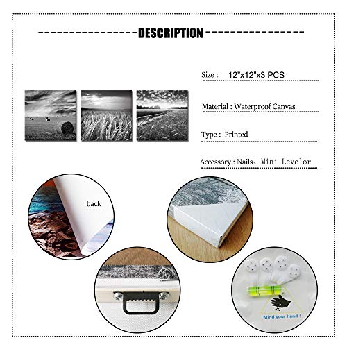 Skenoart 3 Piece Canvas Wall Art For Kitchens Black And White Wheat Field Picture Wall Decor Texas Countryside Landscape Painting Modern Home Farmhouse Decoration Stretched And Framed Ready To Hang #TOP1