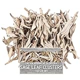 Yerbero - Premium White Sage Cluster Incense 1 Oz (28g) | Hoja De Salvia Blanca Entera | Salvia officinalis | Sanctification, Purification, Restoration, Metaphysical, Mindfulness, Wicca.