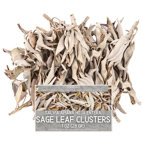 Yerbero - Premium White Sage Cluster Incense 1 Oz (28g) | Hoja De Salvia Blanca Entera | Salvia officinalis | Sanctification, Purification, Restoration, Metaphysical, Mindfulness, Wicca.