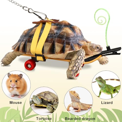 Image of Adjustable Tortoise Leash and Funny Skateboard Set with Curly Grass Decor, Harness and Training Skateboard for Turtle Bearded Dragon Pet Toys(fit for Turtles with a Back Length of 5.1-6.3'')