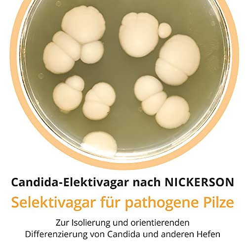 Selectivagar pour champignons Servoplate C3 10415 un support de culture d'excellence - 3