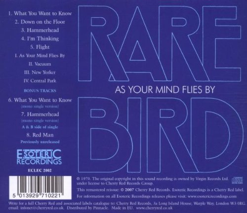 Vista 2 de As Your Mind Flies By