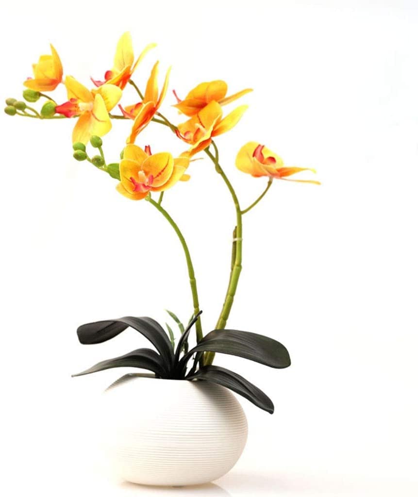 IUokLU Artificial Phalaenopsis Flowers,Fake Orchids Artificial Flowers Artificial Flowers Phalaenopsis Orchid Bonsai With Ceramics Vase, Fake PU Real Touch Flowers Floral