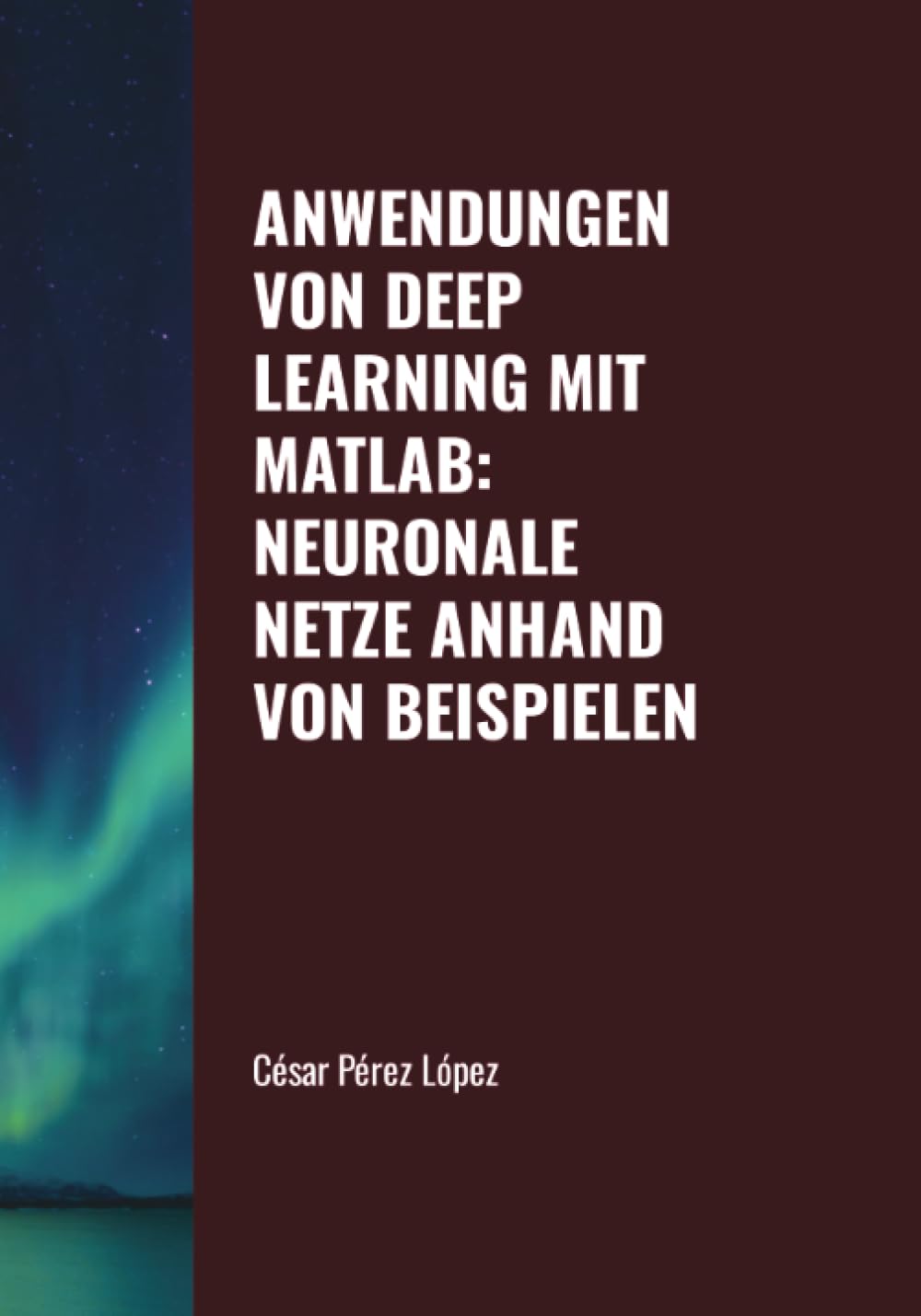 ANWENDUNGEN VON DEEP LEARNING MIT MATLAB: NEURONALE NETZE ANHAND VON BEISPIELEN