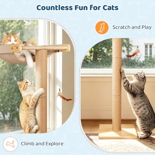 Cat Window Perch Hammock with 3-Piece Detachable Sisal Scratching Posts, Drill-Free Suction Cup Mount, Multi-Level Climbing Perch for Bird Watching, 45 LBS Capacity by Famifit - Image 7