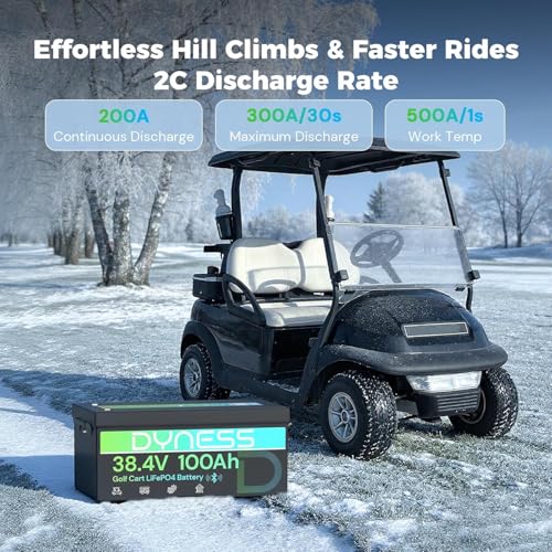 Dyness 36V 100Ah with LCD