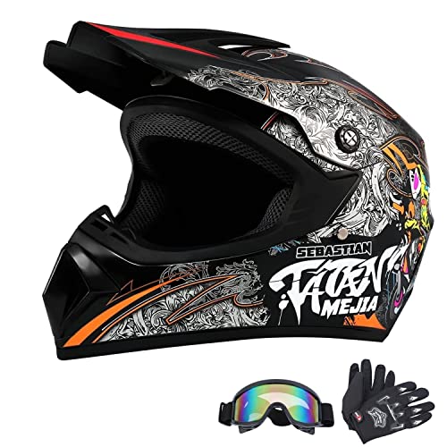 10 best vented dirt bike helmet Quick Guide Pro