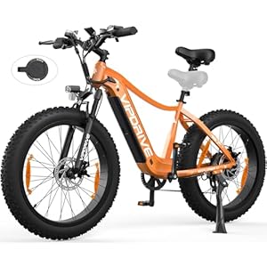 Vipdrive E-bike Elektrische herenfiets, e-bike, 48 V, 13 Ah, 624 Wh, afneembare accu, 24 inch Fat Tire 250 W motor, 5 PAS-modus, e-bike, 7 versnellingen met lcd-display