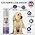 Breath Freshener For Dogs Posh Pooch ® Dental Mousse - 250ml Mint Foam to Promote Healthy Dog Teeth And Gums, Dog Teeth Cleaning, Smelly Breath Eliminator, Dog Oral Care, Dog Breath Mouthwash Mousse