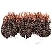 Silike 8'' Mali Bob Braiding Hair Ombre Jerry Curl (3 Bundles/pack) Marlybob Crochet Braiding Hair Afro Kinky Curl Braids Hair Extension(T 1B/30)