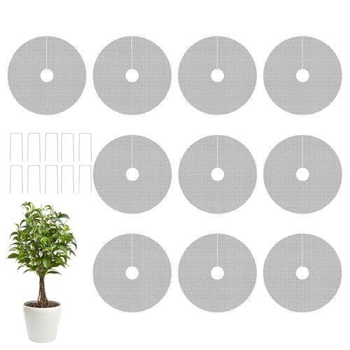 ApyJo[ - 10 Jbg\bV CT[g | 10{  Y t ی^  p A ی L 悯,qL   |   Op