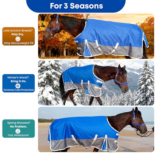 Horse Blanket for Winter, Waterproof, 1200D, 220g (Blue/Gray, 72 in)