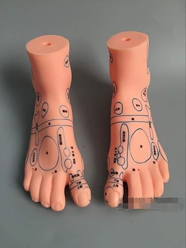 Miniatura 3 de Reflex Zone - Juego de modelos de masaje, no modelo de acupuntura, modelo de masaje de orejas y manos de pies, modelo de masaje en idioma chino