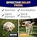 GOODGROWLIES Pumpkin Powder for Dogs - 8oz Powdered Supplement High Fiber for Dogs Stool Softener - Treat Diarrhea, Constipation, Upset Stomach, Food Sensitivity - Improve Digestion - PET_Supplies