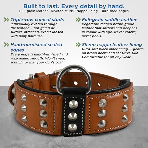 Collar de cuero premium para perros medianos 2 pulgadas marrón miniatura 2