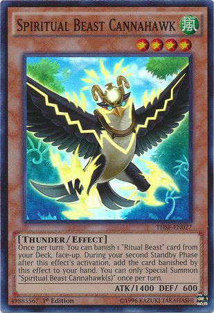 Amazon.com: YU-GI-OH! - Spiritual Beast Cannahawk (THSF-EN027) - The Secret  Forces - 1st Edition