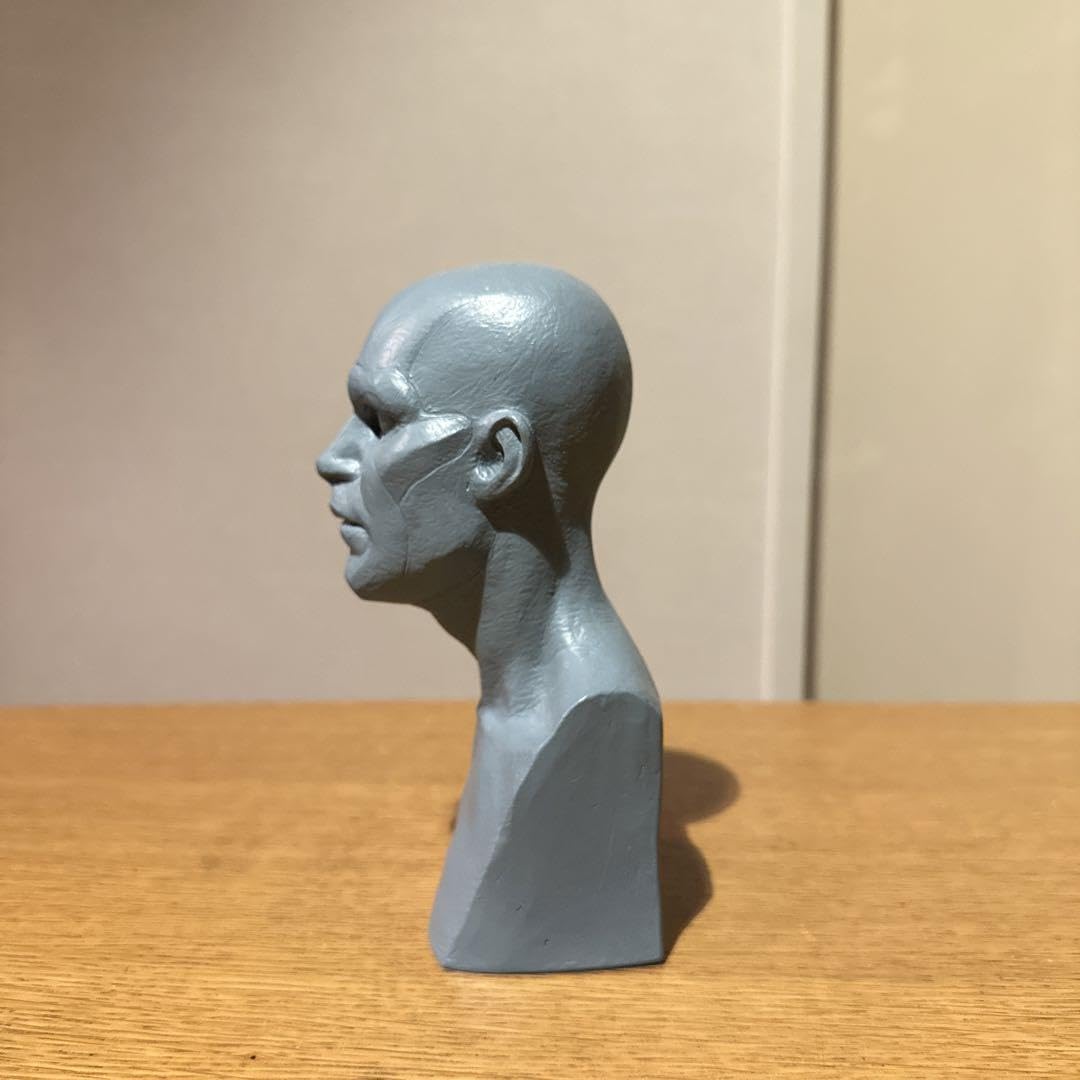 Amazon.co.jp: 西洋人男性モデル 片桐裕司 アナトミー 胸像 海洋堂