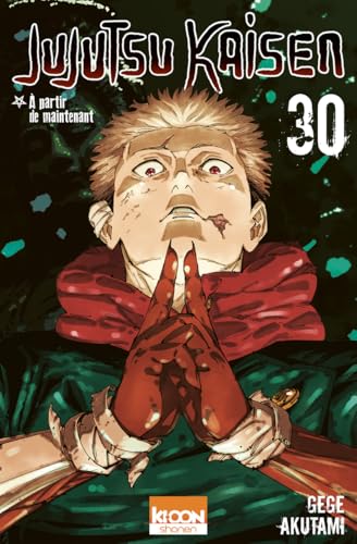 Jujutsu Kaisen — Tome 30