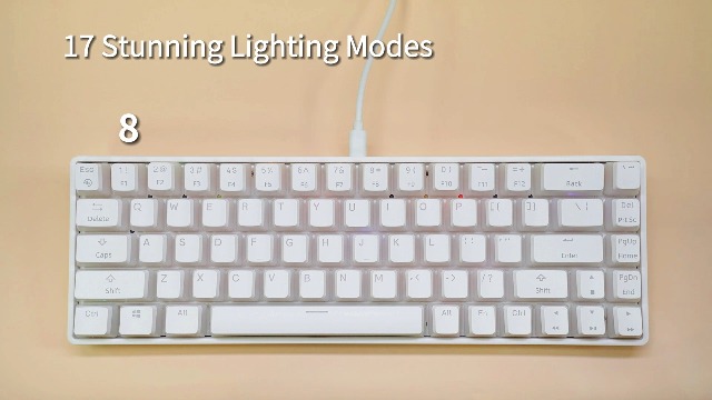 Amazon.com: SHURIKEY GEAR