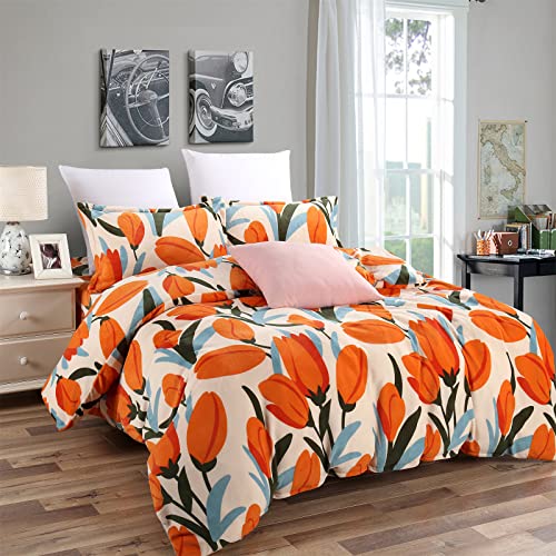 Meeraha zcJo[ _u 4_Zbg tl  |zcJo[ g zM }CNt@Co[ QJo[Zbg ~ zcJo[ ΍ xbhJo[  xbhV[c 􂦂 ۉ ÓdCh~ zcJo[