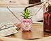 Silver Buffalo Disney Alice in Wonderland Cheshire Cat 3-Inch Ceramic Mini Planter w/Artificial Succulent | Small Flower Pot, Faux Indoor Plants for Desk Shelf, Home Decor Trinket Tray