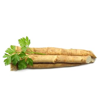 Kejora Fresh Horseradish Roots 1 LB
