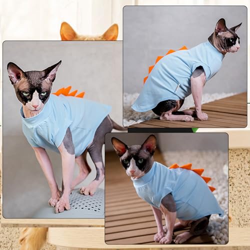 #1 Best Dentrun Sphynx Cat - Premium Pet Apparel Set - Image 3
