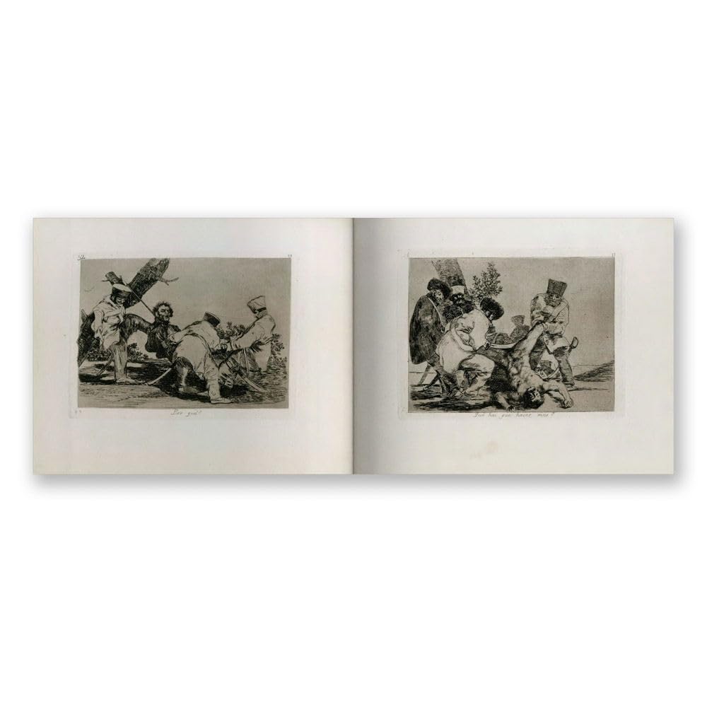 Goya: The Disasters of War /anglais